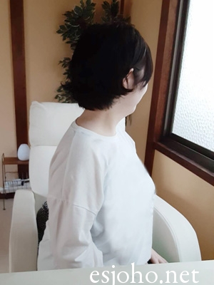 白鳥